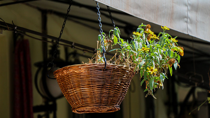 Seasonal Hanging Flower Basket Ideas