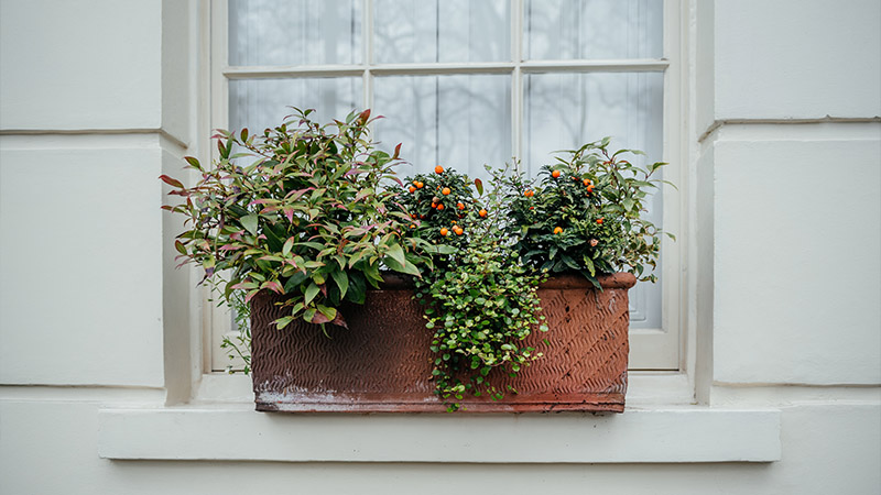 Seasonal and Themed Window Box Ideas with Artificial Flowers