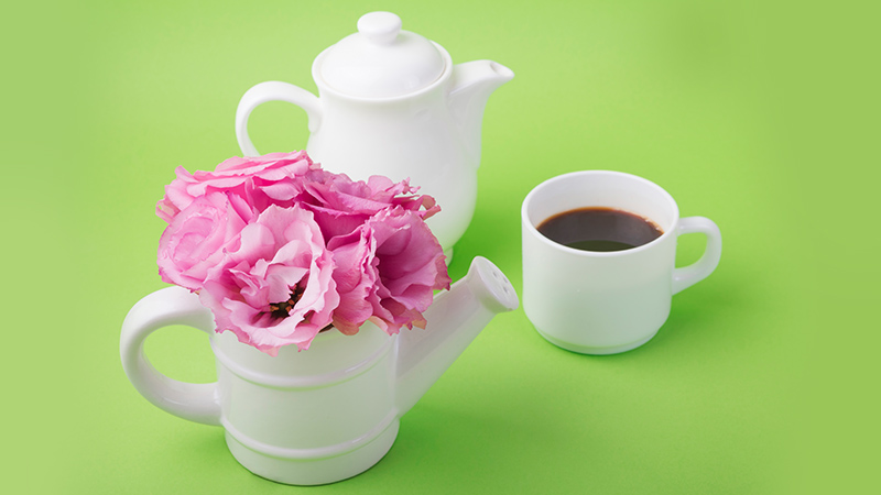 Teacups and Teapots: Charming and Whimsical