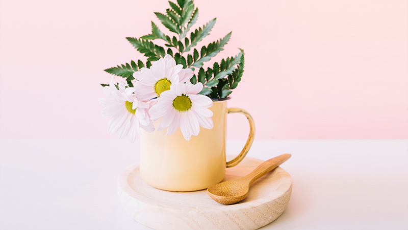 Teacups and Teapots: Charming and Whimsical
