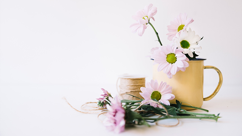 Teacups and Teapots: Charming and Whimsical