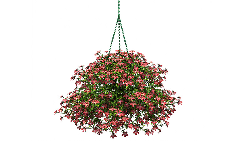 How to Hang Flower Baskets