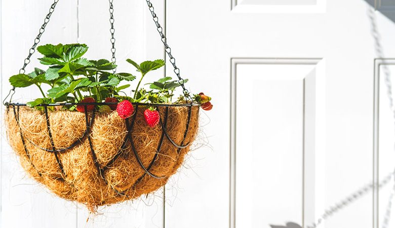 Types of Hanging Flower Baskets for Different Tastes