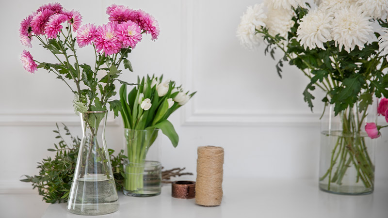 Vases: Classic and Timeless