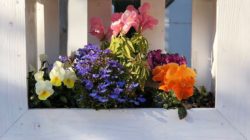 Vibrant and Colorful Window Box Ideas with Artificial Flowers