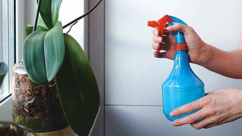 What Can You Spray on Artificial Flowers for a Deep Clean?