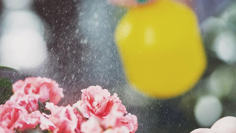 What Can You Spray on Artificial Flowers to Add a Pleasant Scent?