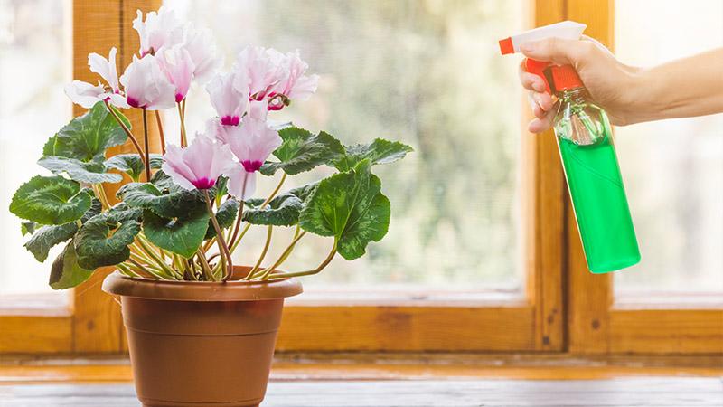 What Can You Spray on Artificial Flowers to Prevent Static Cling?