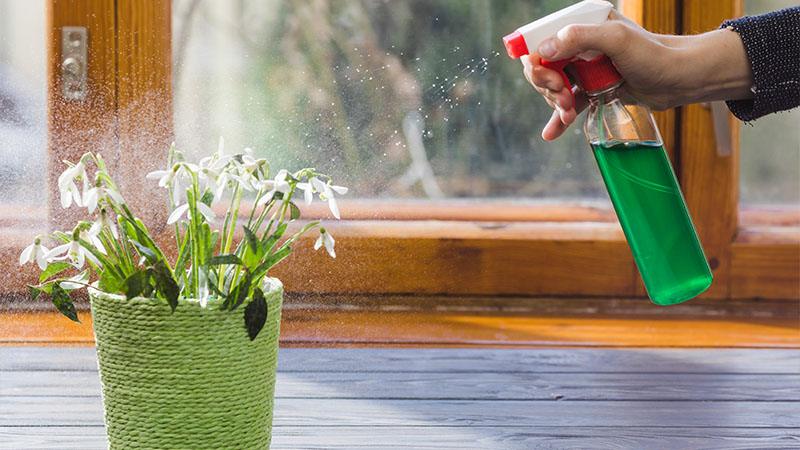 What Can You Spray on Artificial Flowers to Remove Dust?