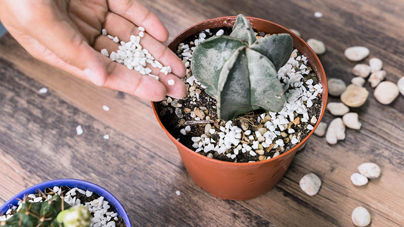 Why Choosing the Right Filler Matters