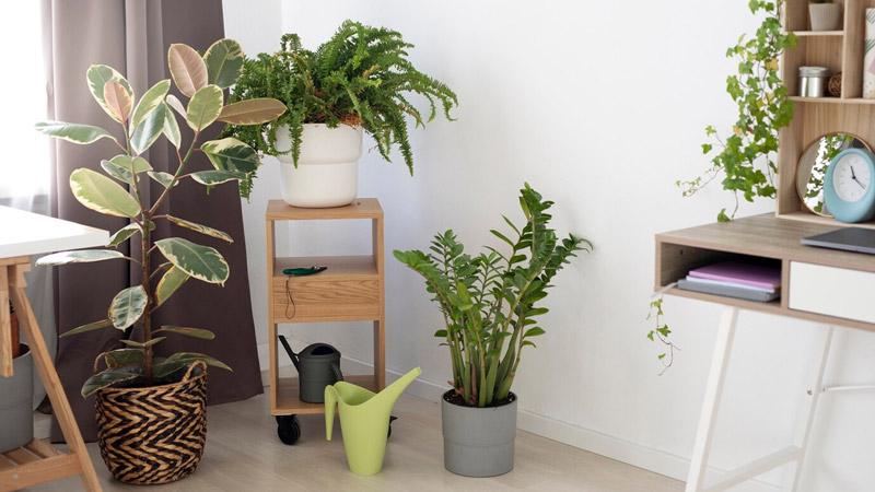 Thumbnail for Budget-Friendly Textured Planter Ideas For Apartment Decor