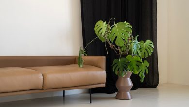 The 10 Best Artificial Large Indoor Plants for Your Home
