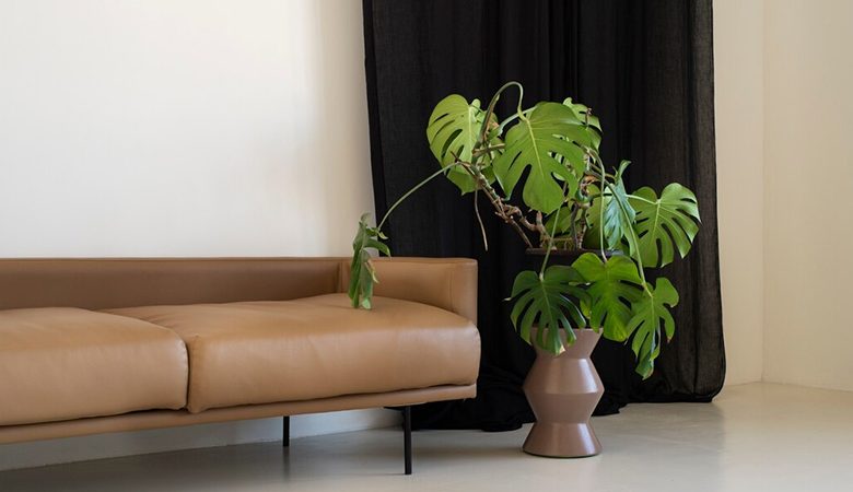 The 10 Best Artificial Large Indoor Plants for Your Home