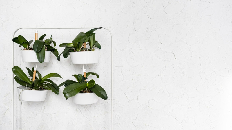 Hanging Planters