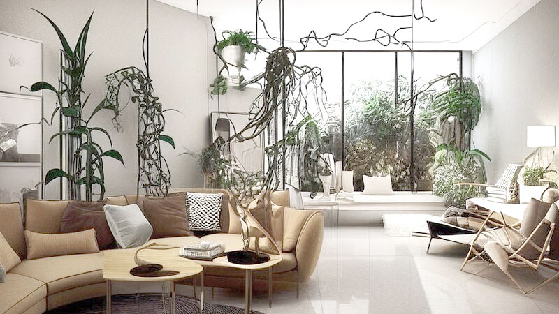 Hanging Planters in Living Room