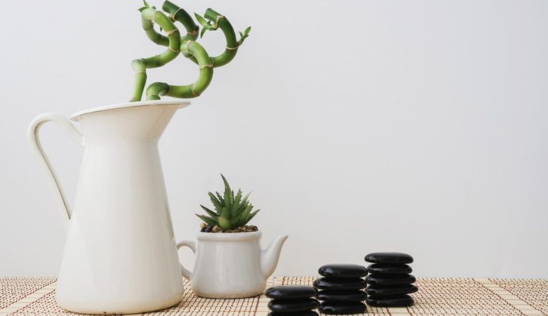 The 10 Best Feng Shui Plants for Office