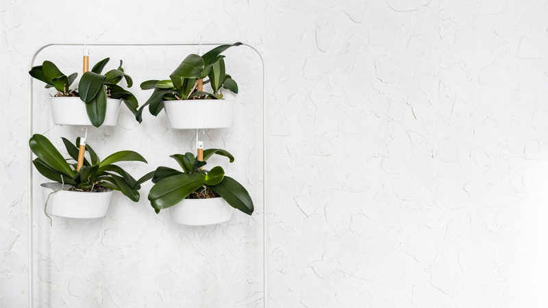  Hanging Flower Baskets