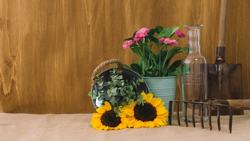 Living Room Ideas Sunflower