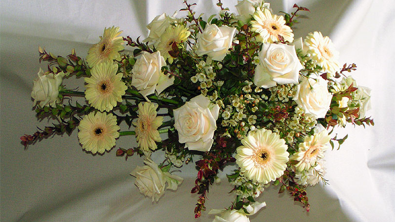 Seasonal Transition Arrangement