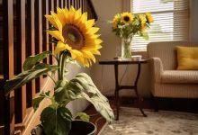 Living Room Ideas Sunflower: Creative Decor Tips