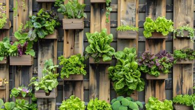 Best Alternative to Hanging Flower Baskets: Top 10 Ideas