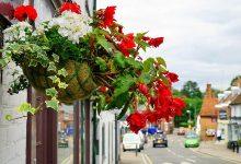 Best Flowers to Put in Hanging Baskets: Top 10 Picks