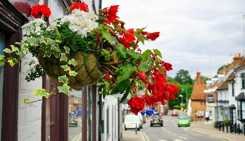 Best Flowers to Put in Hanging Baskets: Top 10 Picks